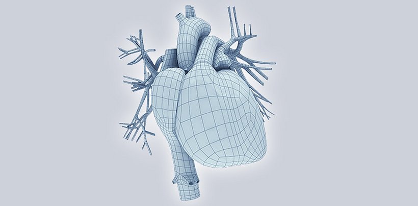 Srdce a kardiologie