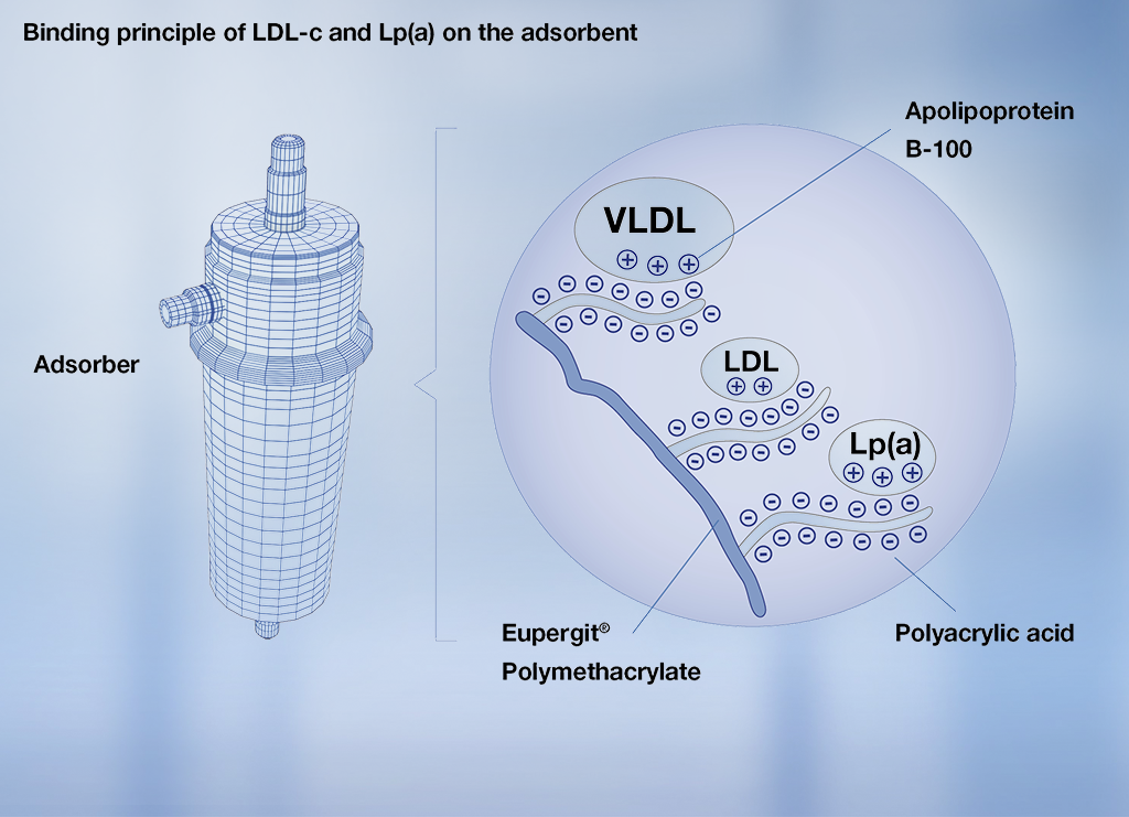Vazba lipoproteinů na adsorbér DALI